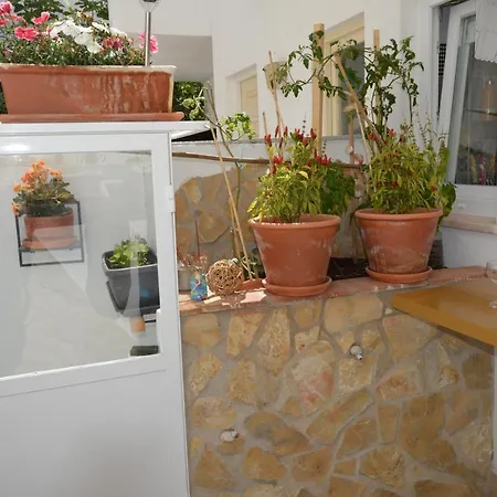 Casinha Papoilas Lagos